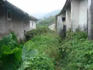 深圳仙湖植物园清明踏青赏花,深圳2022清明能去旅游吗