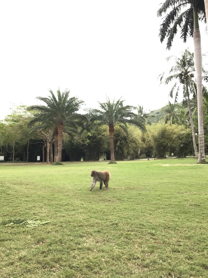 带孩子自由行去三亚旅游攻略,三亚带孩子旅游最新攻略自由行