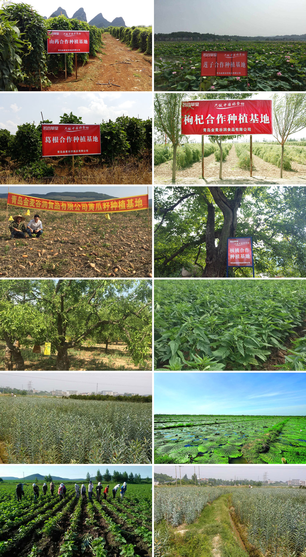 五谷杂粮养生加盟店哪个好,五谷养生坊不加盟怎么学习