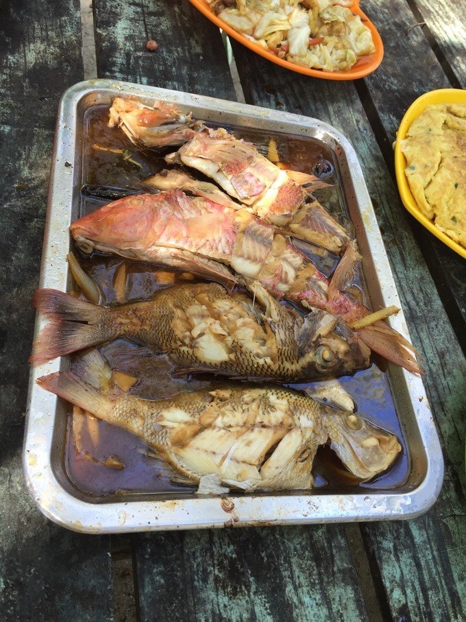 带着我的宝贝豆豆|一起去西太平洋上的海岛国家！