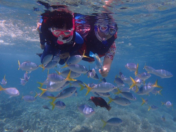 带着我的宝贝豆豆|一起去西太平洋上的海岛国家！