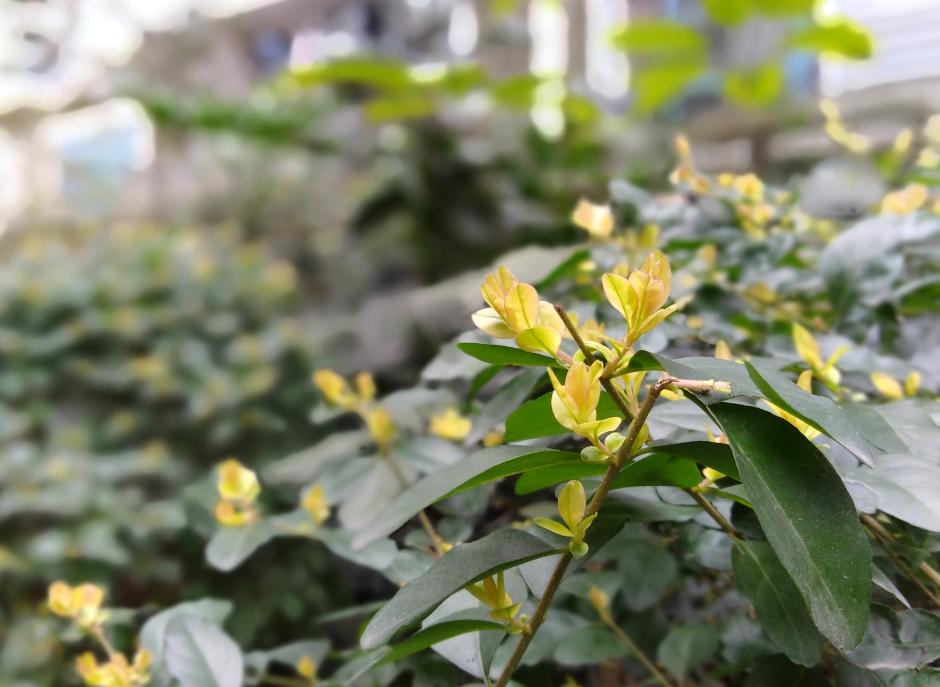 899元就可以购买这么酷炫的神器荣耀畅玩7C全面屏和人脸解锁