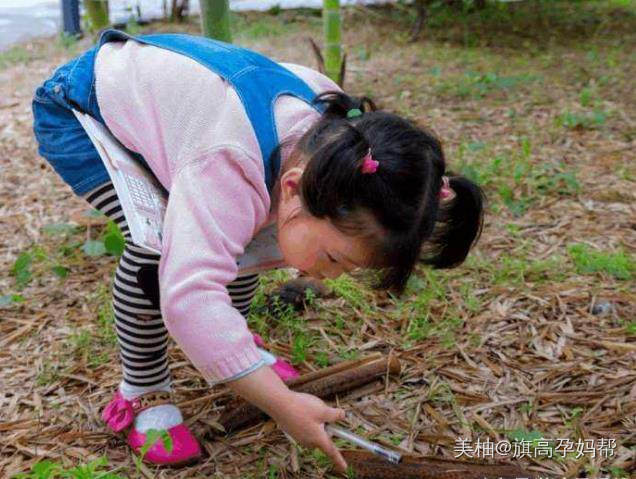 只有准妈妈知道怀孕时的胎梦,哪个孕期的胎梦准