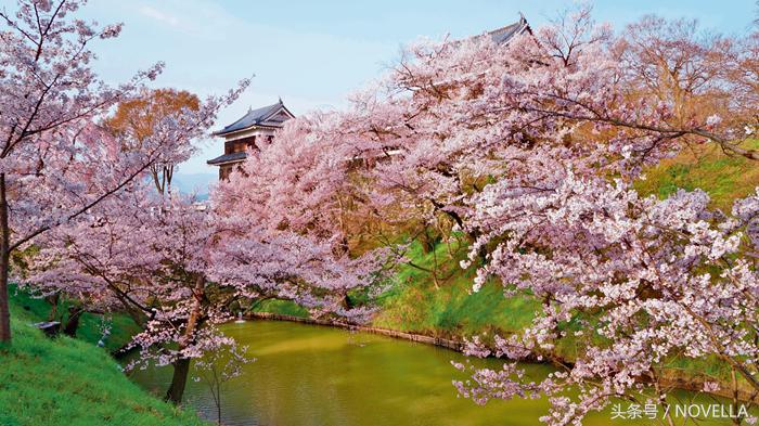 避开了人山人海的景点,避开人山人海去看星辰大海