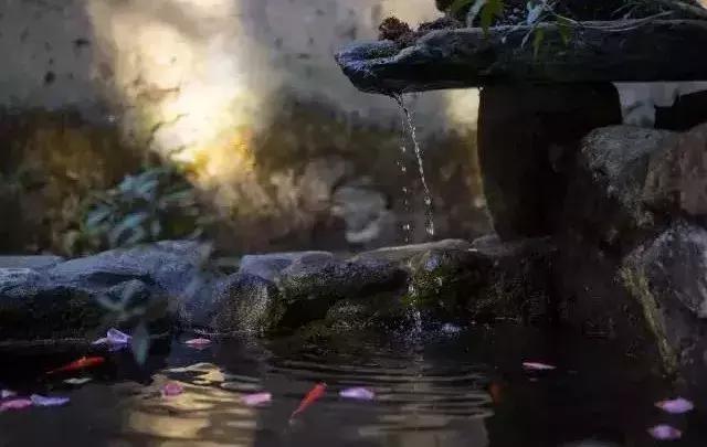 春来花自青秋至叶飘零原文解释,春来花自青秋至叶飘零出自哪里