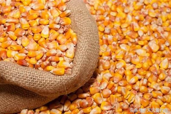 用打窝勺打窝还是用长竿打窝好,打窝是沉水打窝好还是浮水打窝好