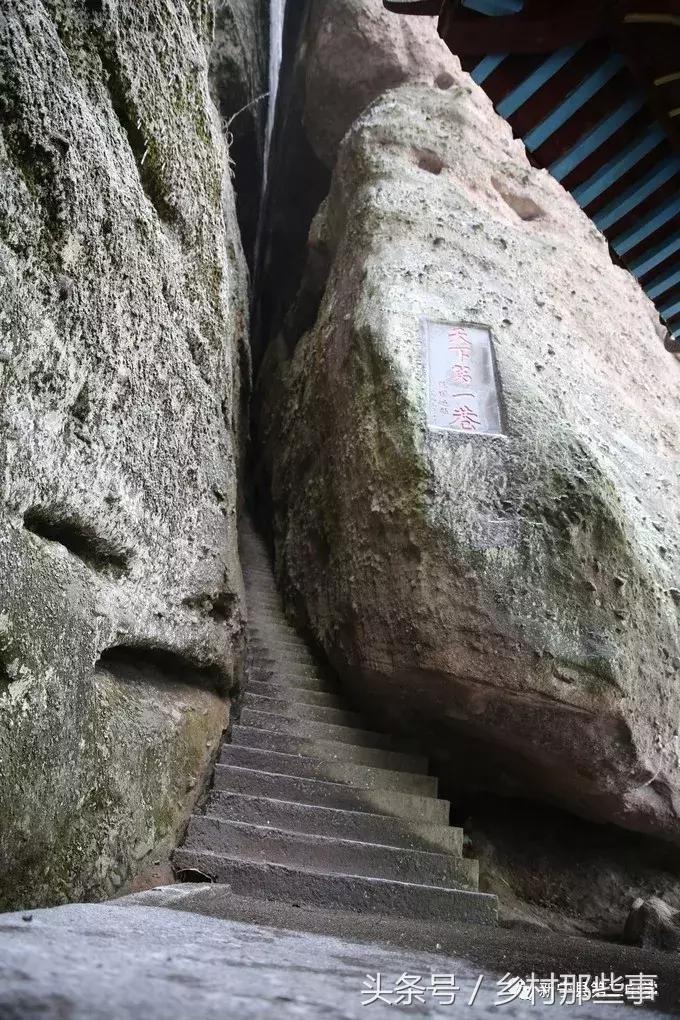 崀山鲸鱼闹海视频,不见鲸鱼的全部小说