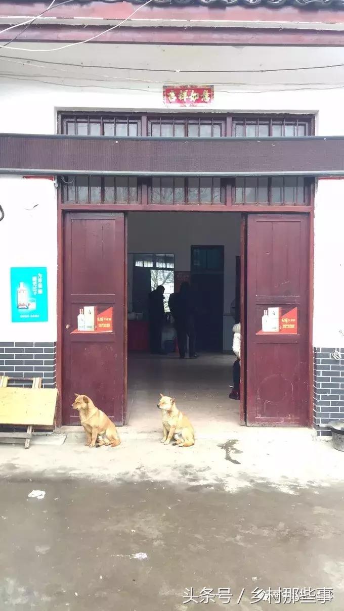 崀山鲸鱼闹海视频,不见鲸鱼的全部小说