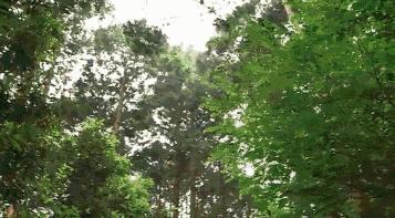 十元店就能买到的日用品，日本匠人却传承13代去做