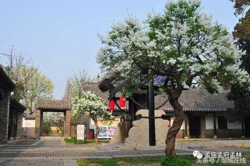 唯美中式风景,唯美花开美景图片