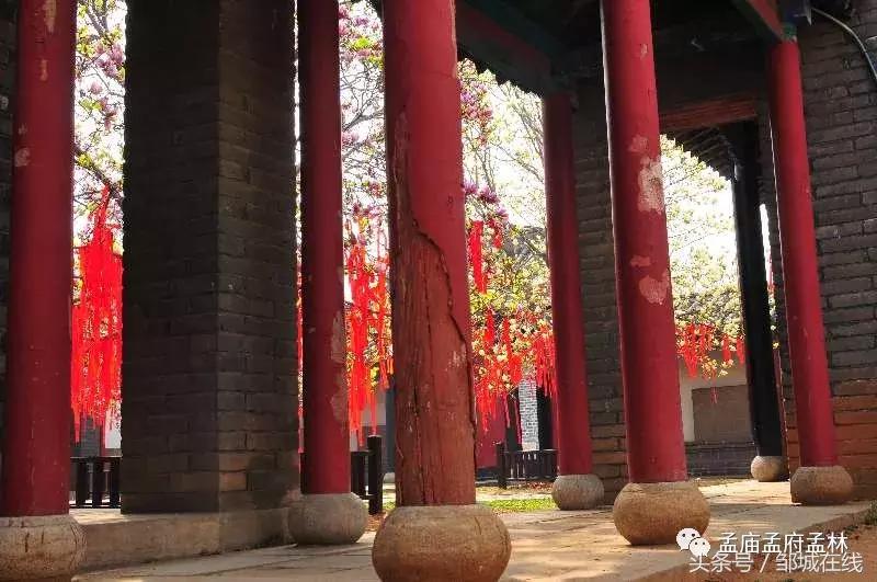 唯美中式风景,唯美花开美景图片