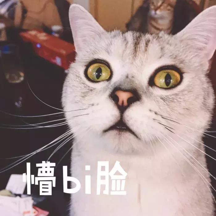 超级显白的口红推荐,这些口红颜色简直是黄皮救星