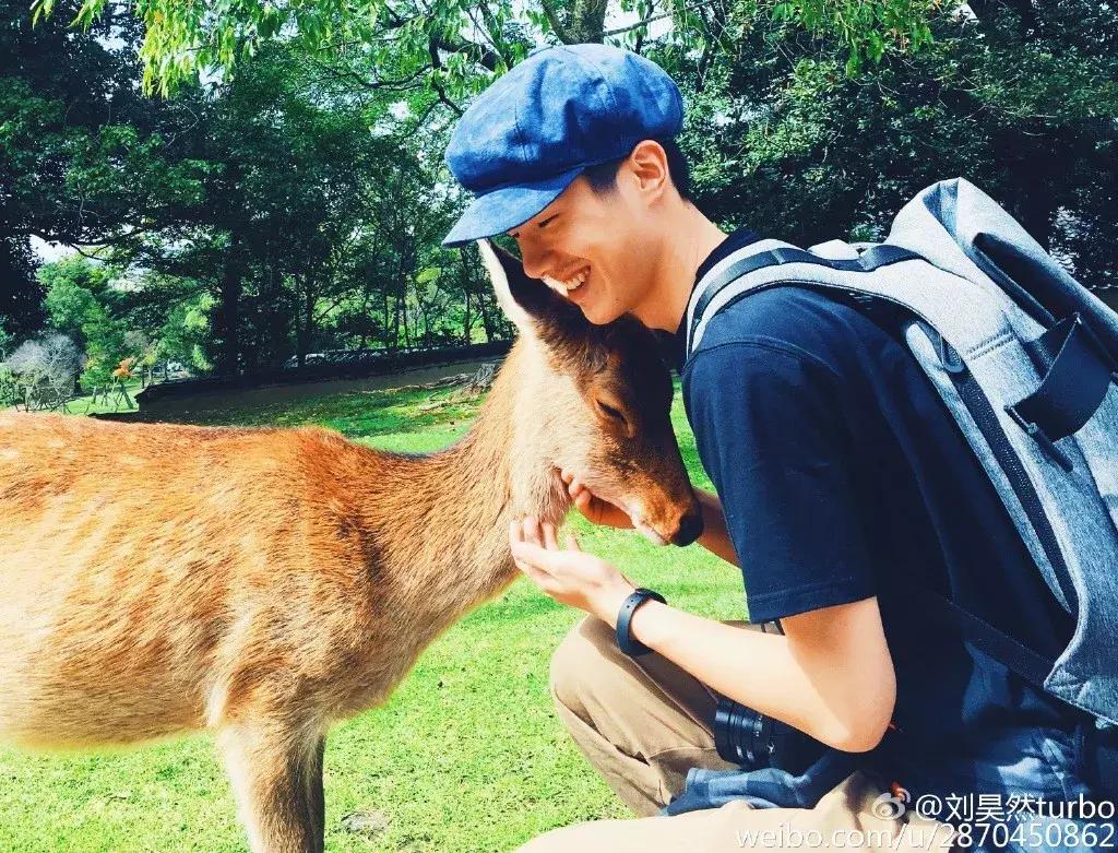 不知道该如何恋爱,不知道恋爱怎么去谈