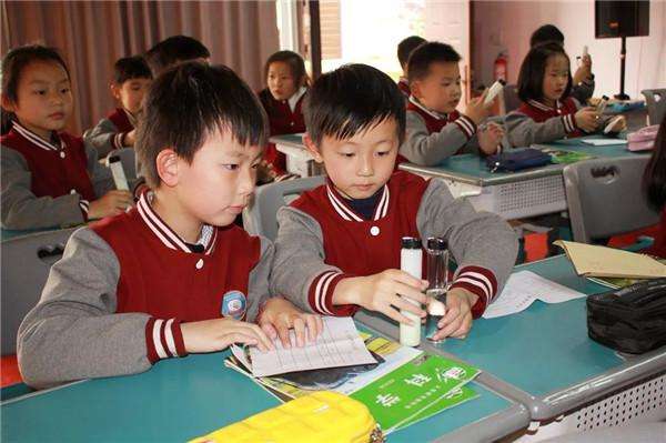 小学科学实验教学培训,小学科学暑期培训