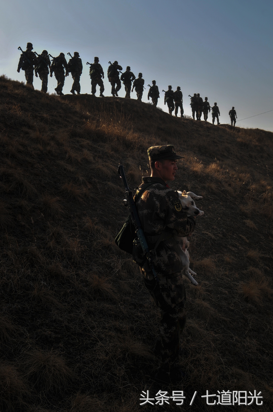 编外“战士”叫“熊猫”