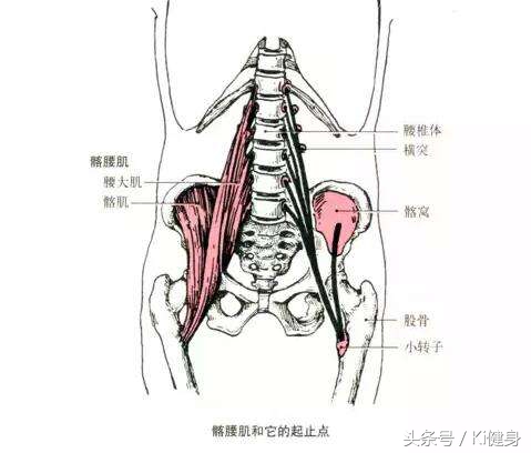 kiki健身身材,kiki健身腿部肌肉