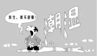 中医所说的湿是什么,中医中的湿究竟是什么