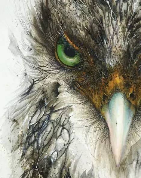 鹰怎么画又霸气又真实,要怎么画真实的老鹰