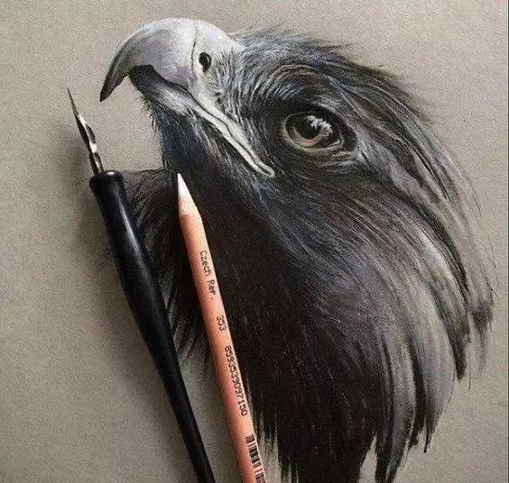 鹰怎么画又霸气又真实,要怎么画真实的老鹰