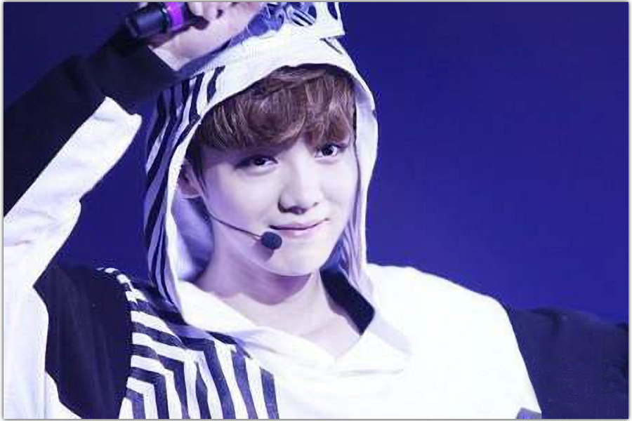 鹿晗的父母长什么样子的,鹿晗的爸爸妈妈是什么样子的