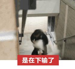 最近的游戏流行语,网络游戏刷屏流行语