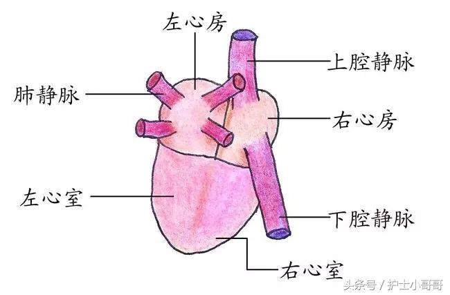 输液时空气进入血管会怎样,输液过程中进入空气怎么处理视频