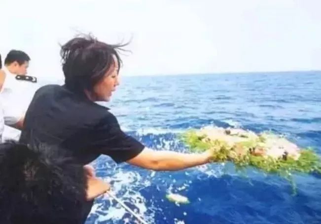 在天愿作比翼鸟，在地愿为连理枝：烈士遗孀回忆与王伟的爱情