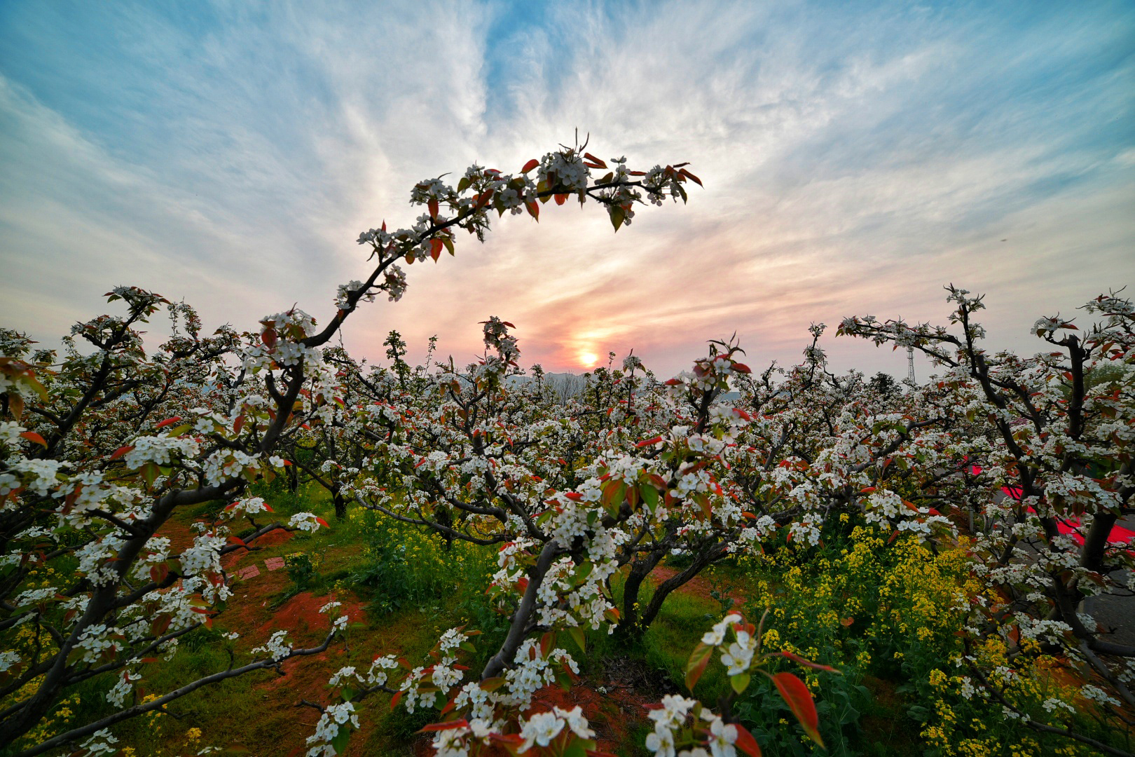 山灵水韵，德才兼备，这座城市的*光春**了不起！