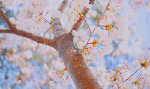 东莞最新开放的大公园,北京南城万亩大公园