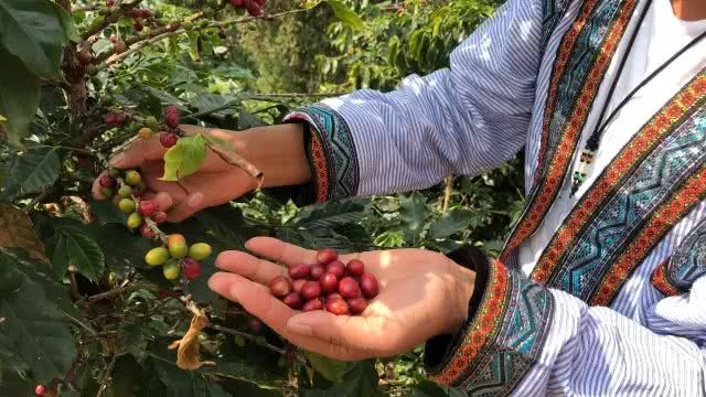 种植户名字印上咖啡售卖机,消费者每买1杯,农民就挣2元!