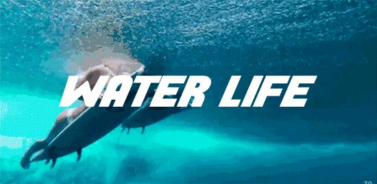 防晒霜海上冲浪哪款好用,超级防水的防晒霜