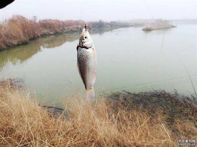 野钓串钩怎样钓鱼才是正确的,用路亚竿水库野钓串钩用多大铅坠