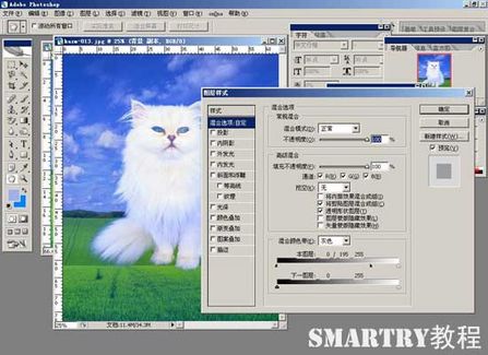抠图抠不干净ps用哪个工具,ps抠图和ai抠图区别