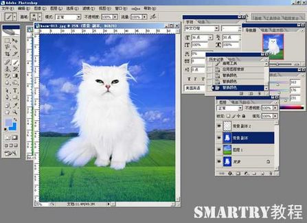 抠图抠不干净ps用哪个工具,ps抠图和ai抠图区别