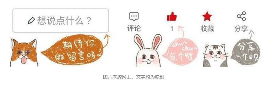 世界杯猫咪身价多少美元,世界杯和国足身价对比