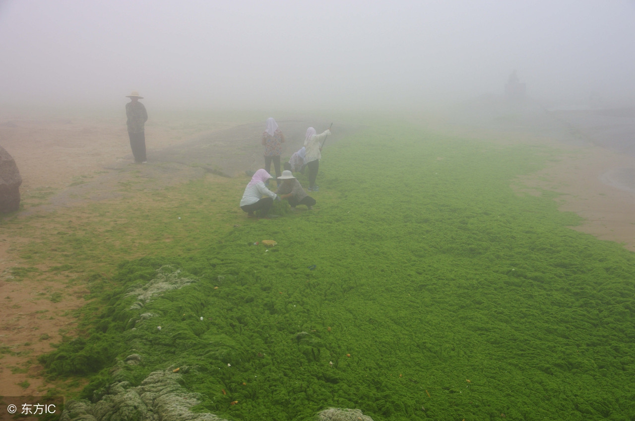 胶原蛋白到底怎么选,胶原蛋白怎么选教你一招轻松辨别