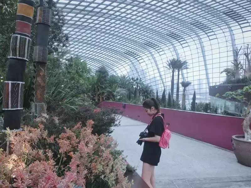 3月乡青年与他们的乡土星球