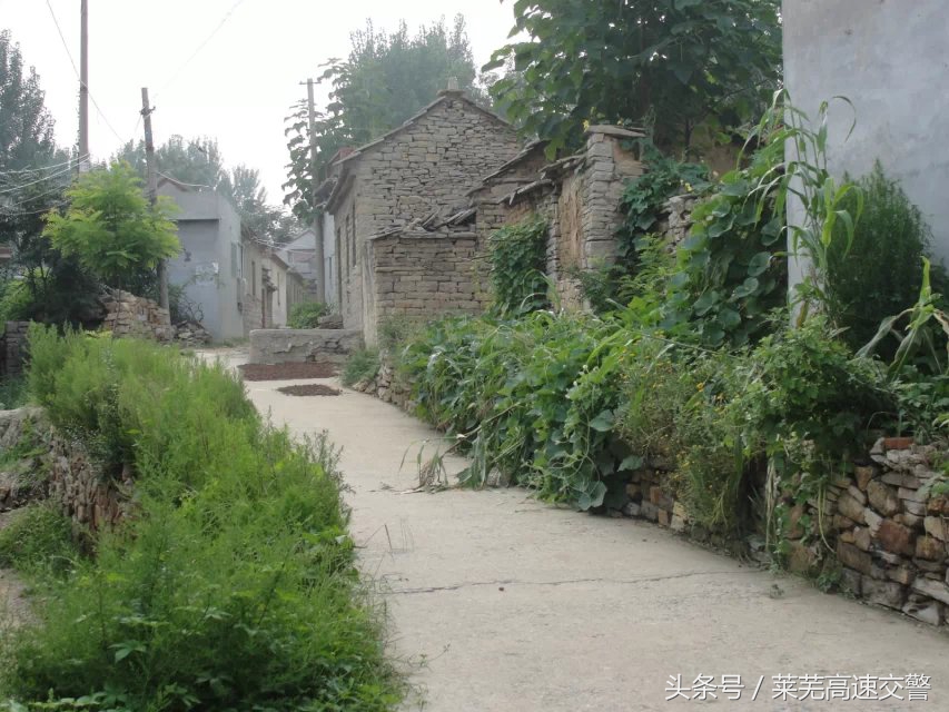 清明游莱芜莲花山,莱芜旅游十大必去景点