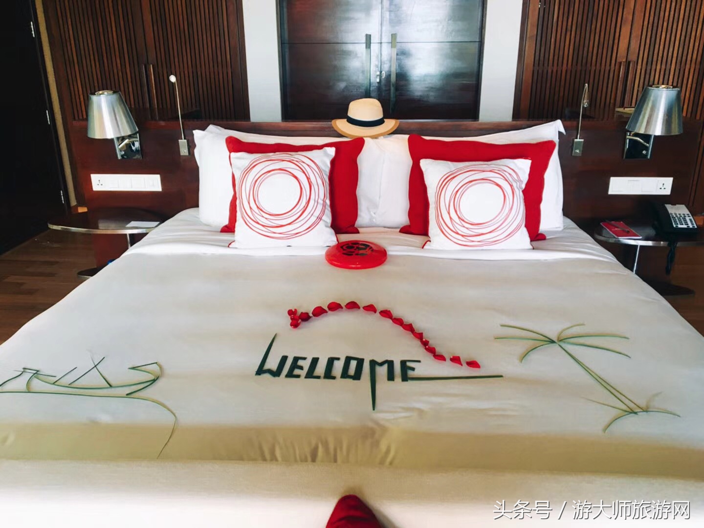 海洋宝宝来到我的世界,海洋宝宝来了吗