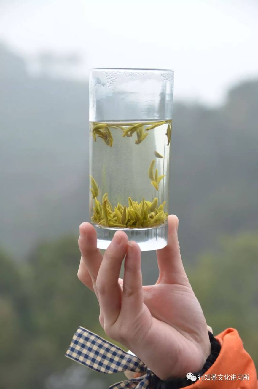 温州问道,温州问界