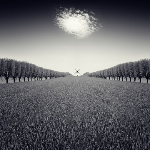 一花一世界一叶一菩提本来无一物,一花一世界一叶一菩提