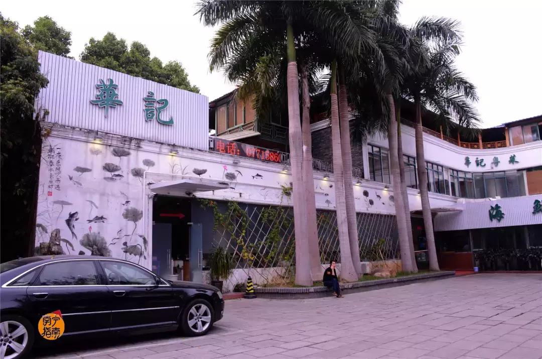 金花茶公园景点,走进金花茶公园