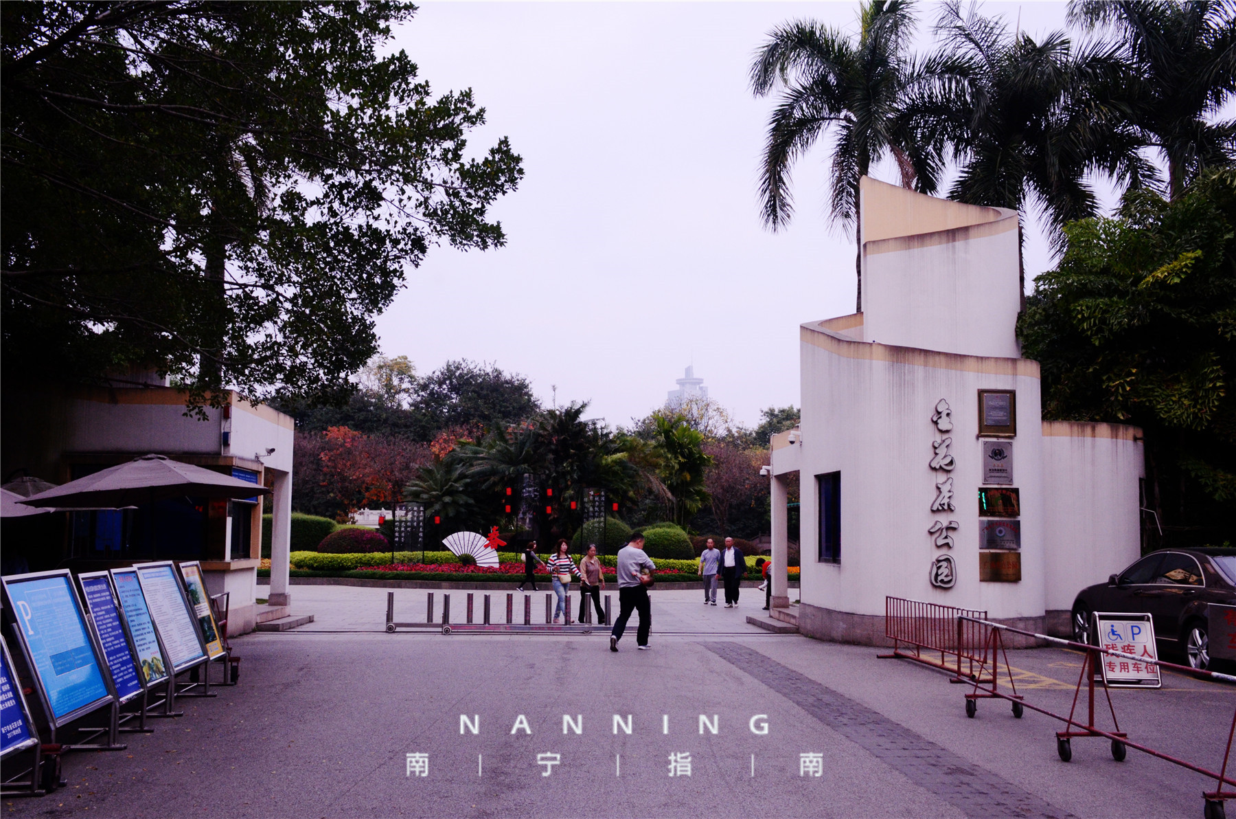 金花茶公园景点,走进金花茶公园