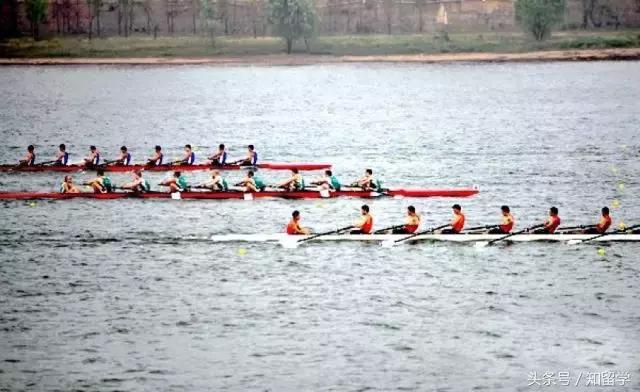 国际名校掐架，拿手的不只是学术，还有肢体……