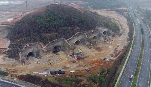 腾讯生态养鹅,生态养鹅模式