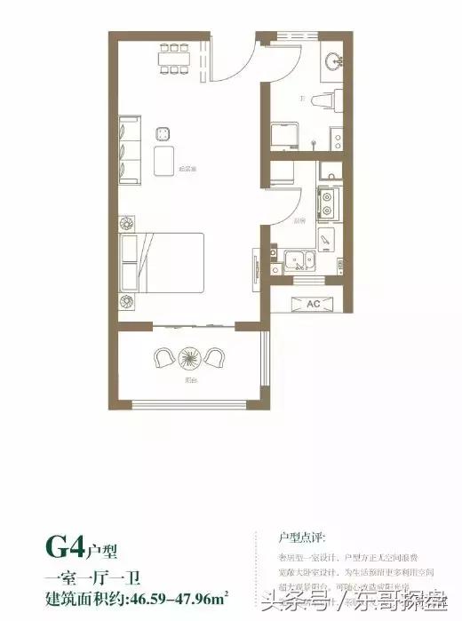 又一神盘诞生，花儿为什么这样红？