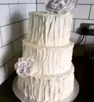 十个拉布拉多,拉布拉多一窝下14个人