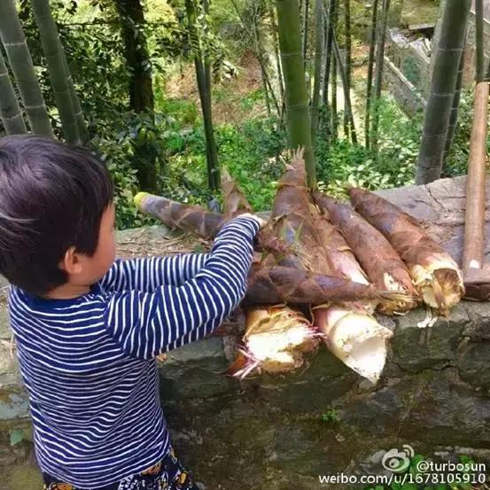 戏如人生成功背后的心酸,戏里面的人生