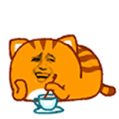 四川省新龙县有哪些猫科动物,新龙县猫