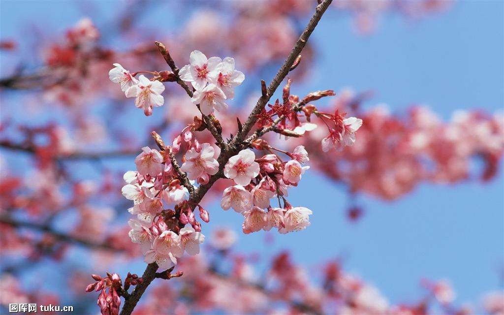 台州黄岩最新消息,台州黄岩第一大镇